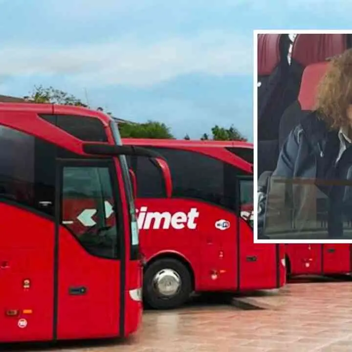 Reintegrati altri due lavoratori licenziati dalla Simet, tra loro l’unica donna autista: «Il cielo della Calabria si è tinto di rosa»