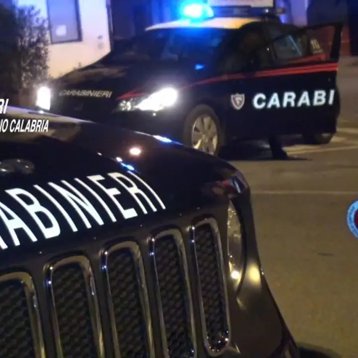 Reati contro il patrimonio, carabinieri smantellano organizzazione criminale nella Locride: 5 arresti