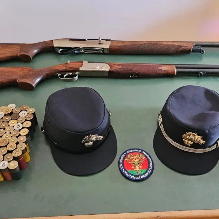 Cacciavano abusivamente nel Parco d’Aspromonte: biologo e pensionato denunciati dai carabinieri forestali