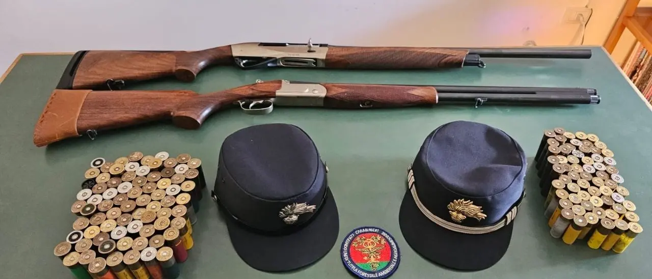 Cacciavano abusivamente nel Parco d’Aspromonte: biologo e pensionato denunciati dai carabinieri forestali