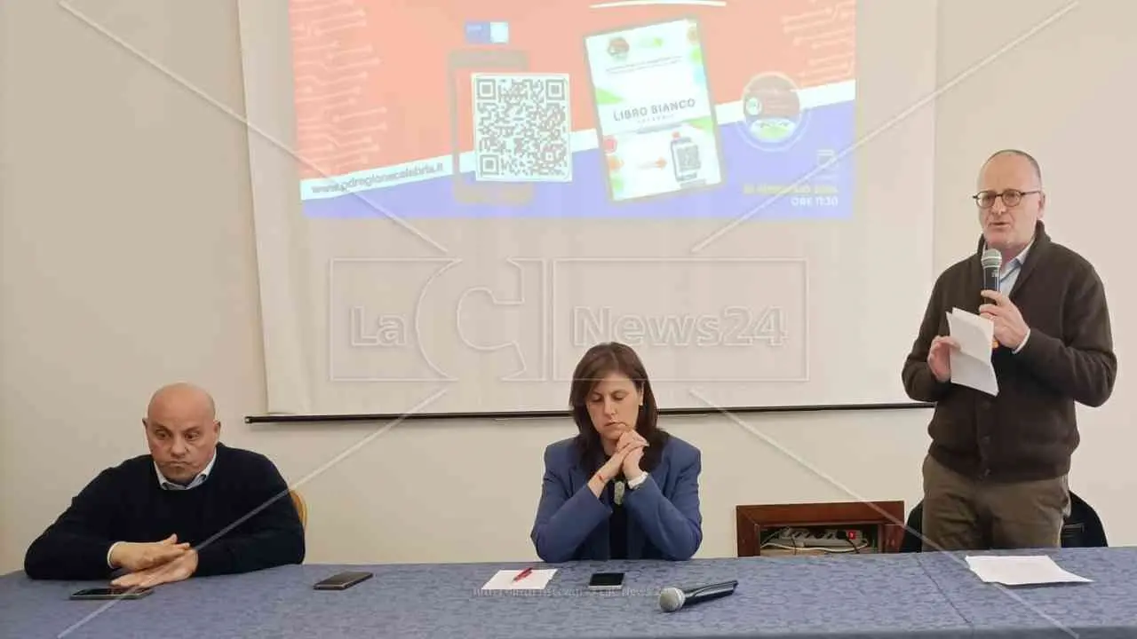 «Destra feroce e incompetente che sta affossando il Paese», la deputata Braga (capogruppo Pd) suona la carica in Calabria