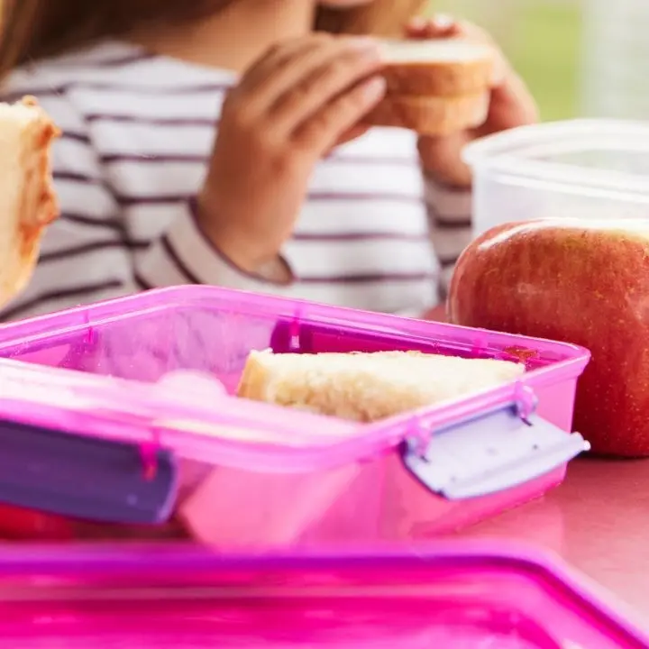 A Pizzo tempo prolungato nelle scuole ma senza mensa, l’ira dei genitori: «Mangeranno panini e pizzette»