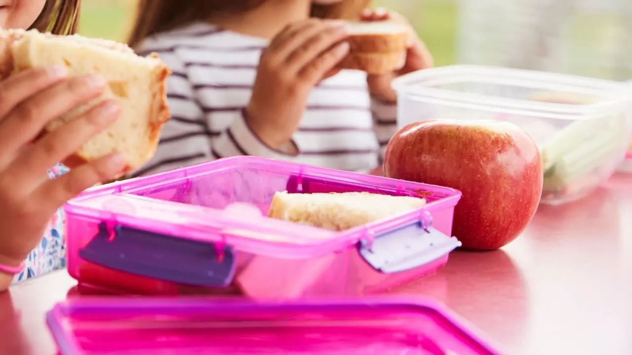 A Pizzo tempo prolungato nelle scuole ma senza mensa, l’ira dei genitori: «Mangeranno panini e pizzette»