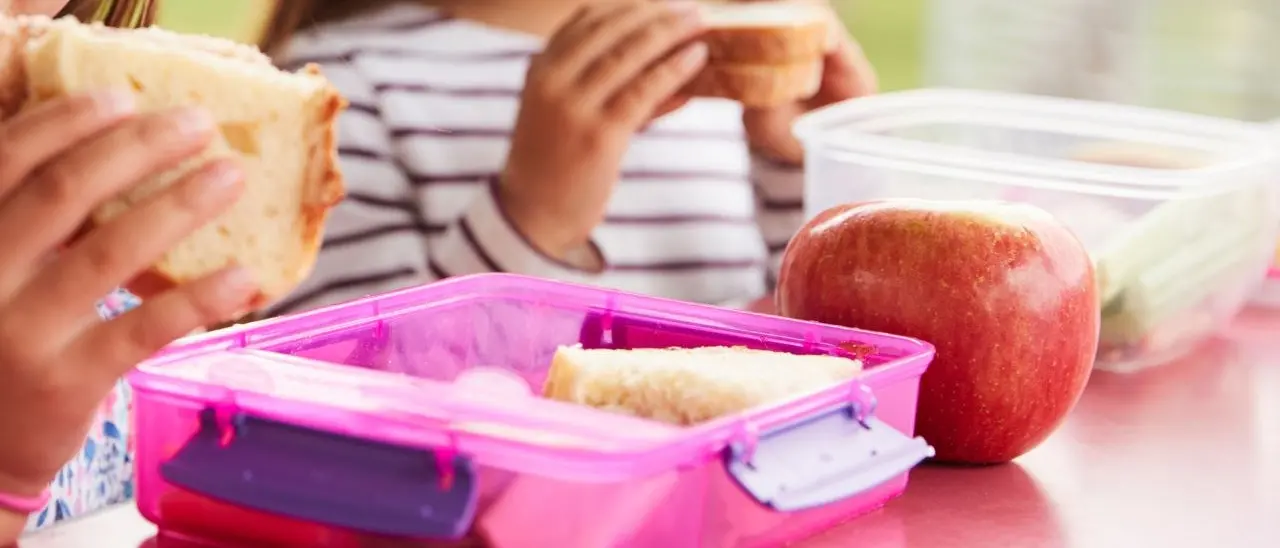 A Pizzo tempo prolungato nelle scuole ma senza mensa, l’ira dei genitori: «Mangeranno panini e pizzette»