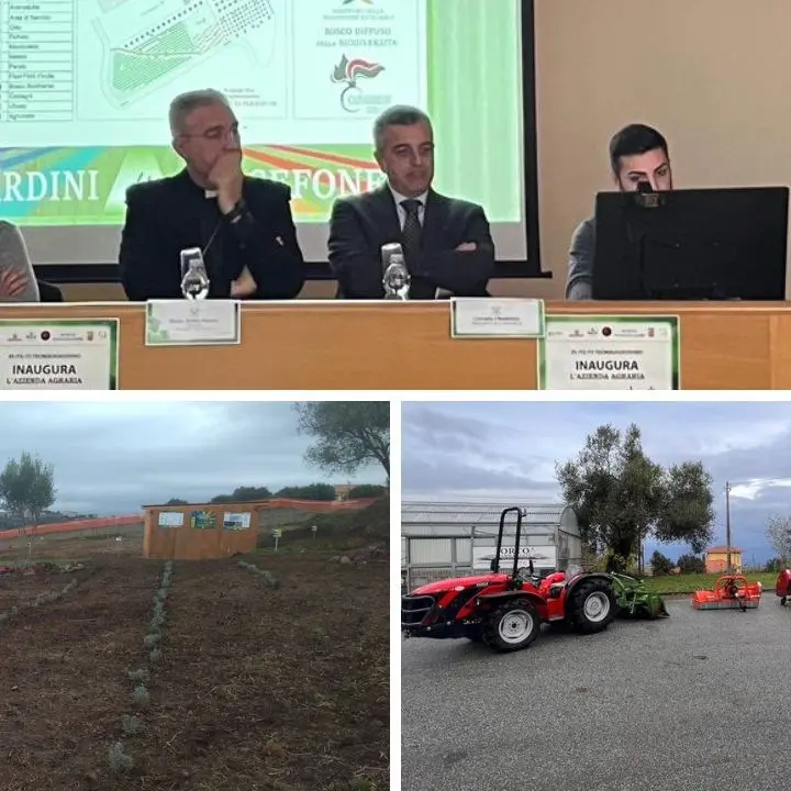 Vibo, l’istituto tecnico inaugura la sua azienda agraria. La preside: «Si realizza un sogno»