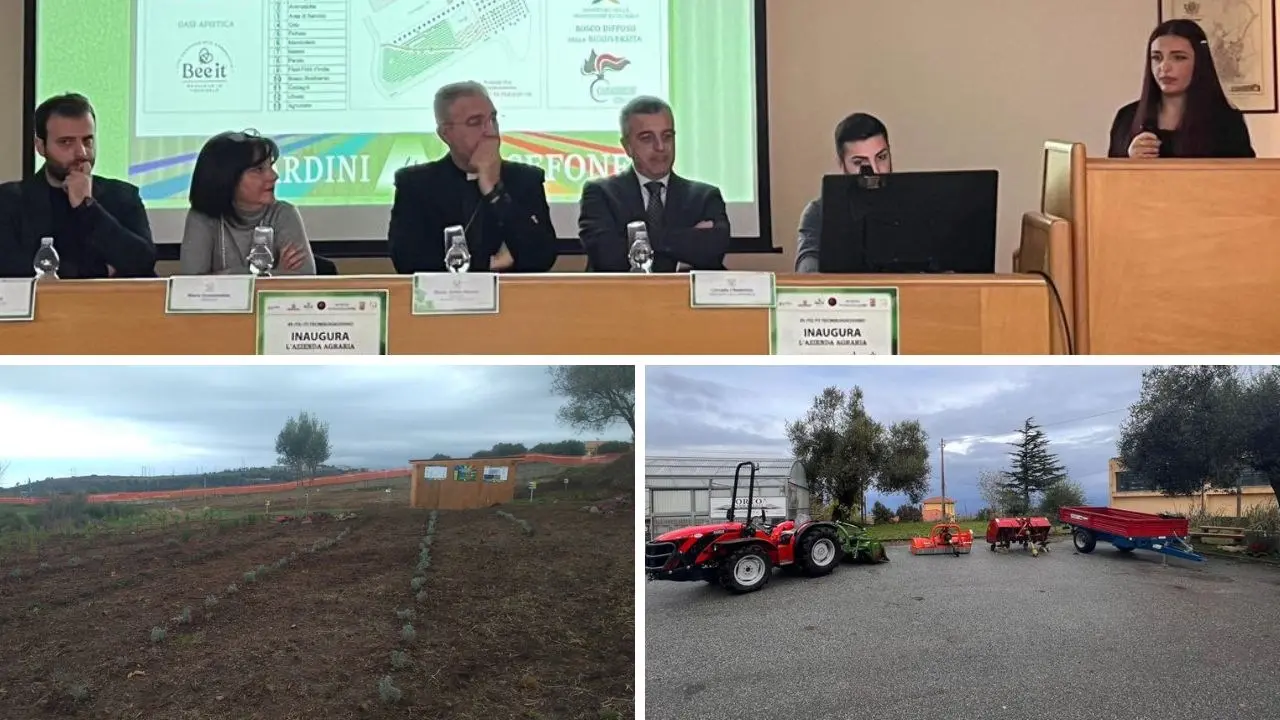 Vibo, l’istituto tecnico inaugura la sua azienda agraria. La preside: «Si realizza un sogno»