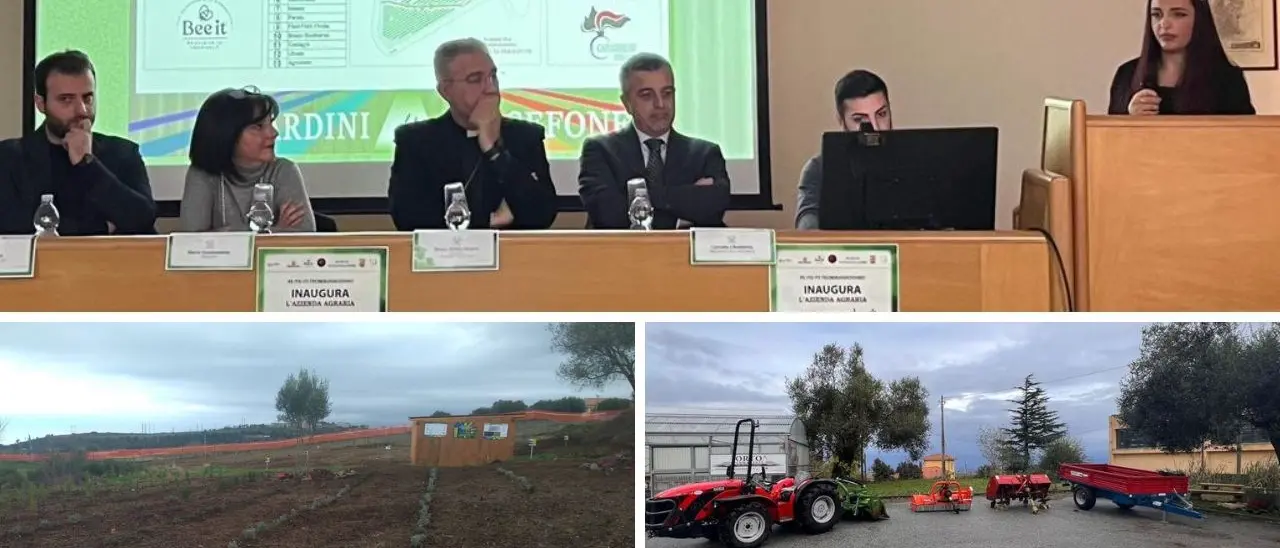 Vibo, l’istituto tecnico inaugura la sua azienda agraria. La preside: «Si realizza un sogno»