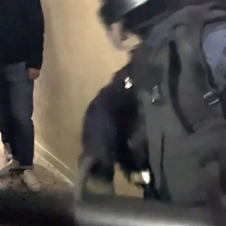 Festeggiava il compleanno del figlio, arrestato a Scampia il latitante Gaetano Angrisano