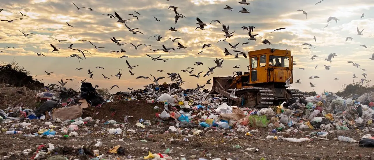 «I rifiuti sono la parola magica». Gli affari d’oro della ‘ndrangheta tra la Calabria e il Nord