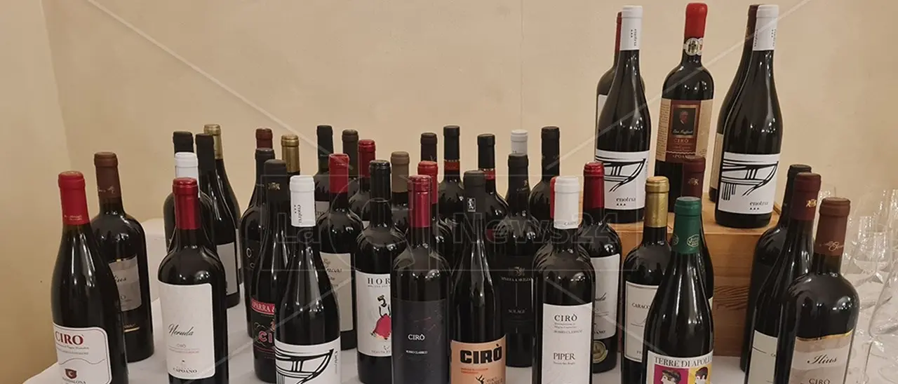 Il vino calabrese e i mercati: ecco dove conviene vendere i 4 milioni di bottiglie Dop prodotti ogni anno