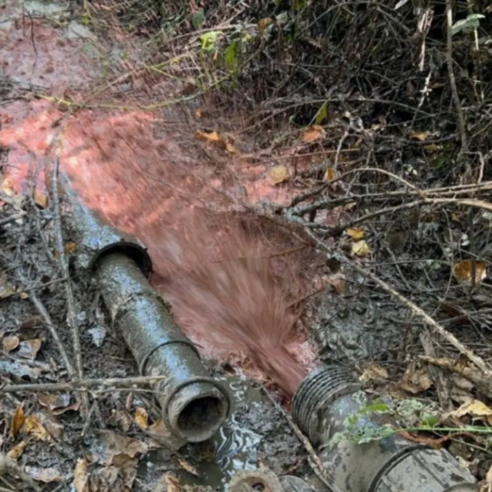 Nel Reggino 11 imprenditori denunciati per reati ambientali: multe per un totale di 220mila euro