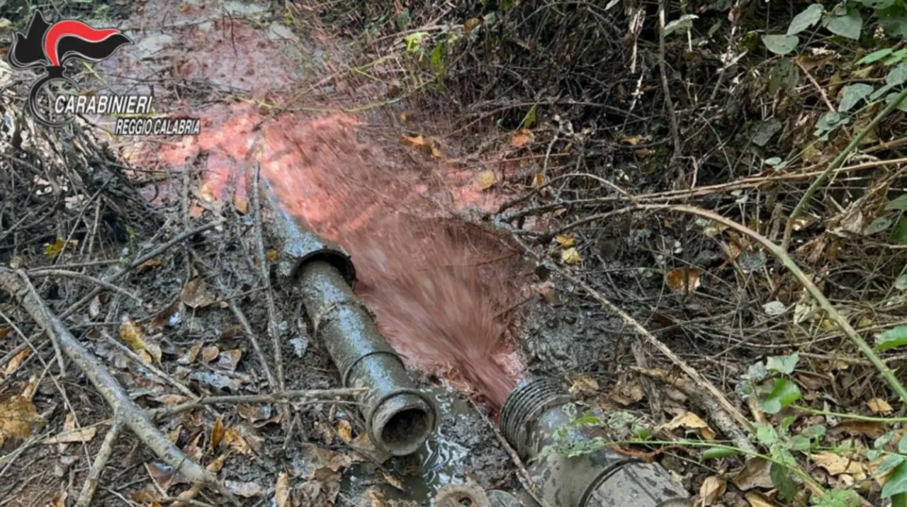 Nel Reggino 11 imprenditori denunciati per reati ambientali: multe per un totale di 220mila euro