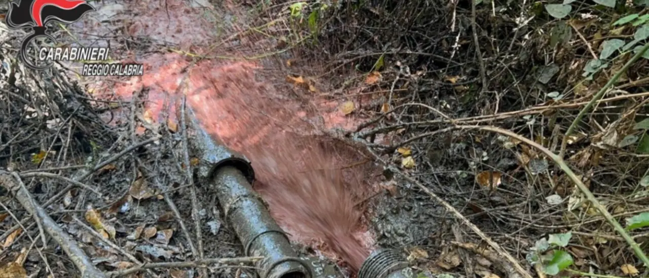 Nel Reggino 11 imprenditori denunciati per reati ambientali: multe per un totale di 220mila euro