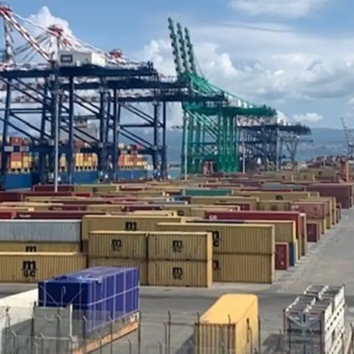 Porti, anno record per Gioia Tauro: movimentati 3 milioni e 500mila teus