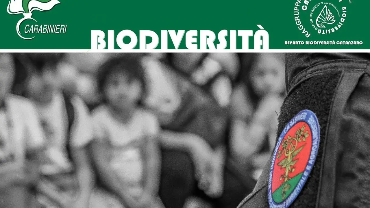 Lamezia Terme, la Befana della Biodiversità arriva nel reparto di pediatria del Giovanni Paolo II