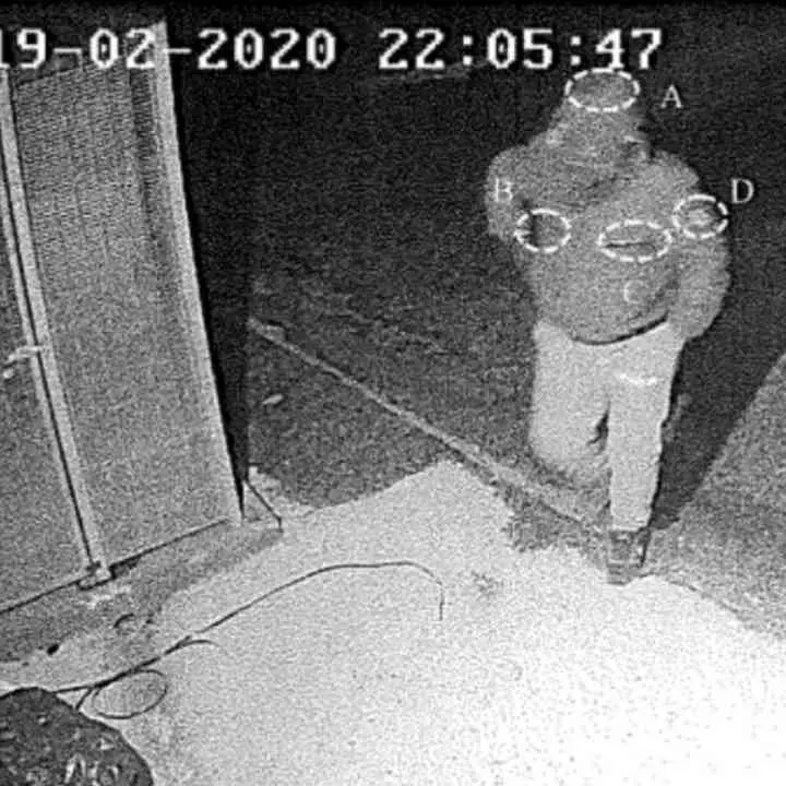 Cosenza e Cassano alleate nelle estorsioni: «Mettemmo una testa di maiale davanti al cancello di una grande villa»