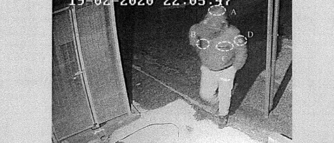 Cosenza e Cassano alleate nelle estorsioni: «Mettemmo una testa di maiale davanti al cancello di una grande villa»