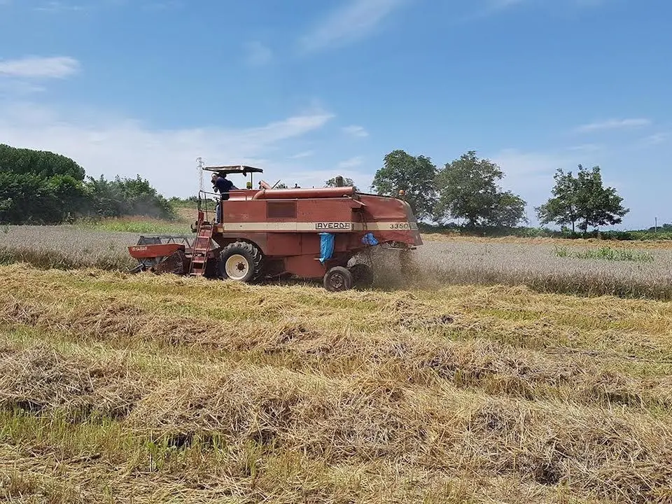 Dall’agroalimentare il 3,7% del Pil italiano per il 2022: per la Calabria valore aggiunto di 1,7 miliardi