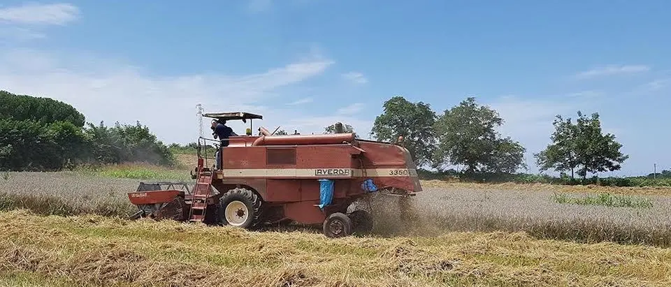 Dall’agroalimentare il 3,7% del Pil italiano per il 2022: per la Calabria valore aggiunto di 1,7 miliardi