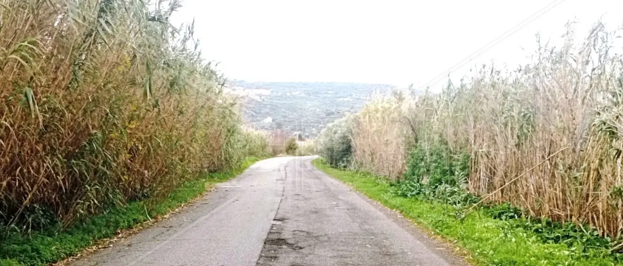 I Comuni investono per attirare i turisti ma poi la rete viaria fatiscente li tiene lontani: il caso di Nicotera