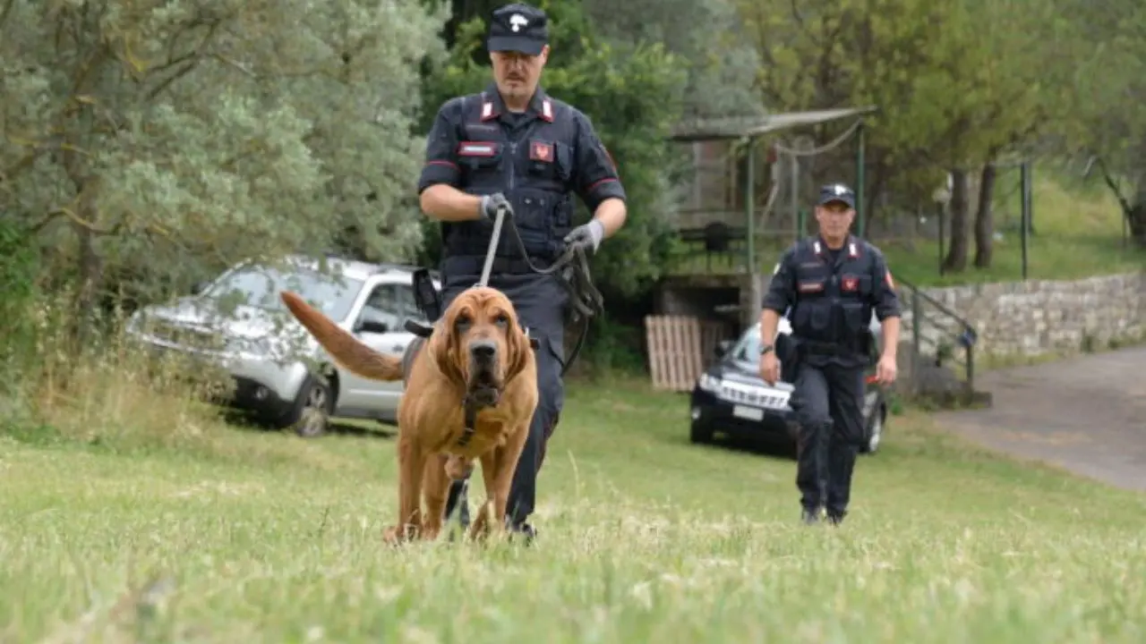 Il “serial killer della Riviera dei Cedri” incastrato da una catenina: è accusato di tentato omicidio a Bologna