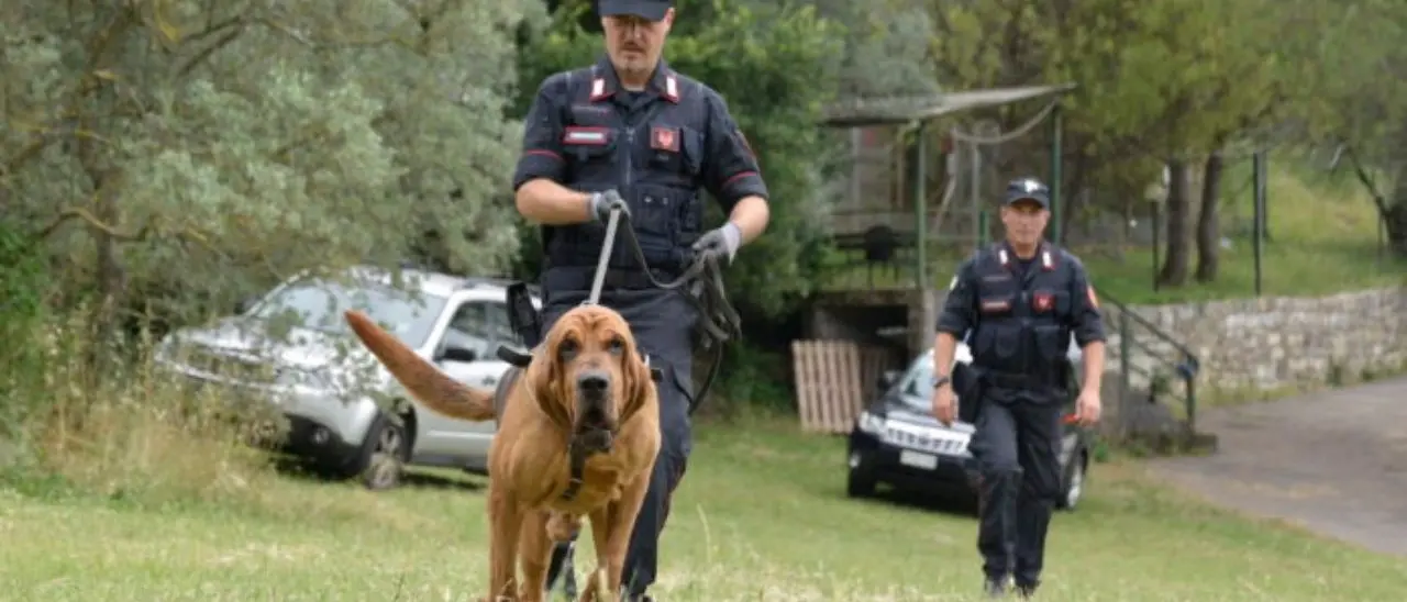 Il “serial killer della Riviera dei Cedri” incastrato da una catenina: è accusato di tentato omicidio a Bologna