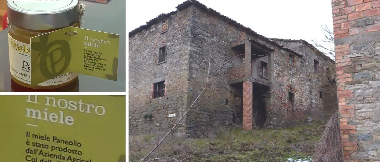 Il primo vasetto di miele prodotto nei terreni del casolare “strappato” alla ’ndrangheta