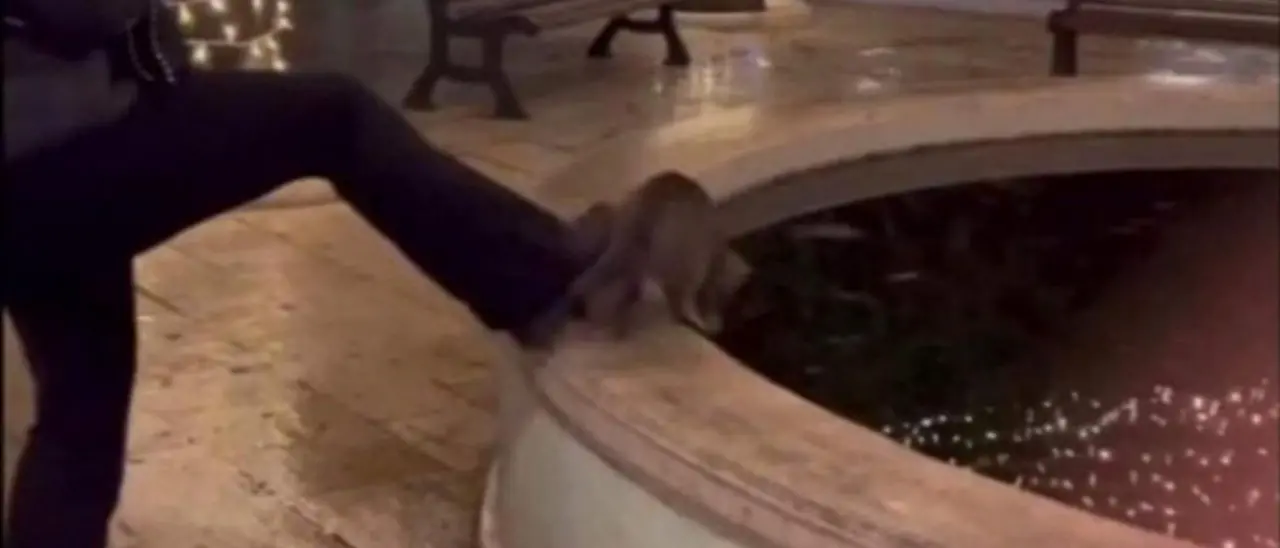 Dà un calcio a un gatto facendolo annegare in una fontana, si scatena l’odio del web: «Che tu possa fare la stessa fine»