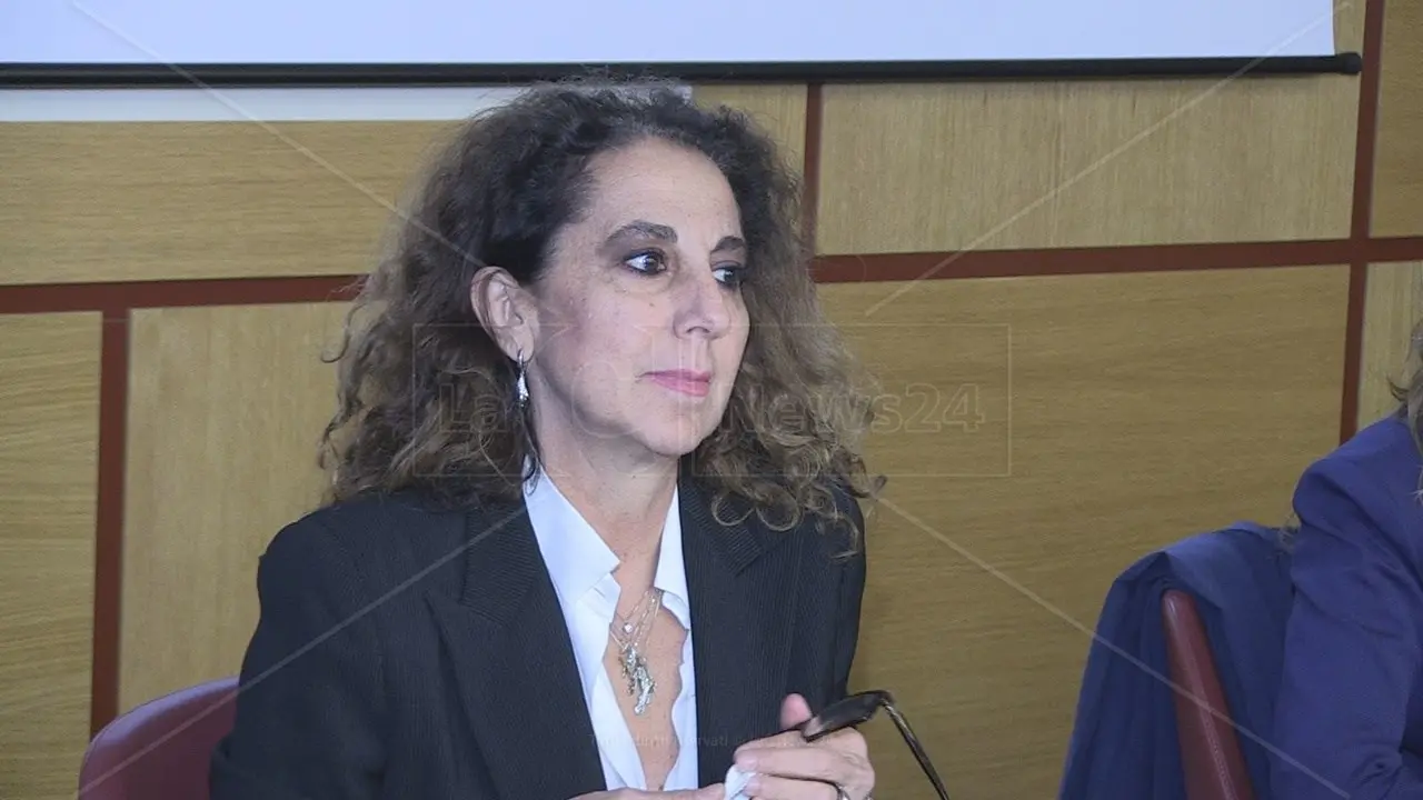 Inchiesta “Secreta collis”, Ferro (Fdi): «Un sequestro di armi che per la sua entità ha pochi precedenti in Calabria»