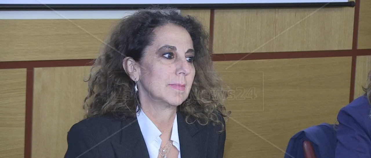 Inchiesta “Secreta collis”, Ferro (Fdi): «Un sequestro di armi che per la sua entità ha pochi precedenti in Calabria»