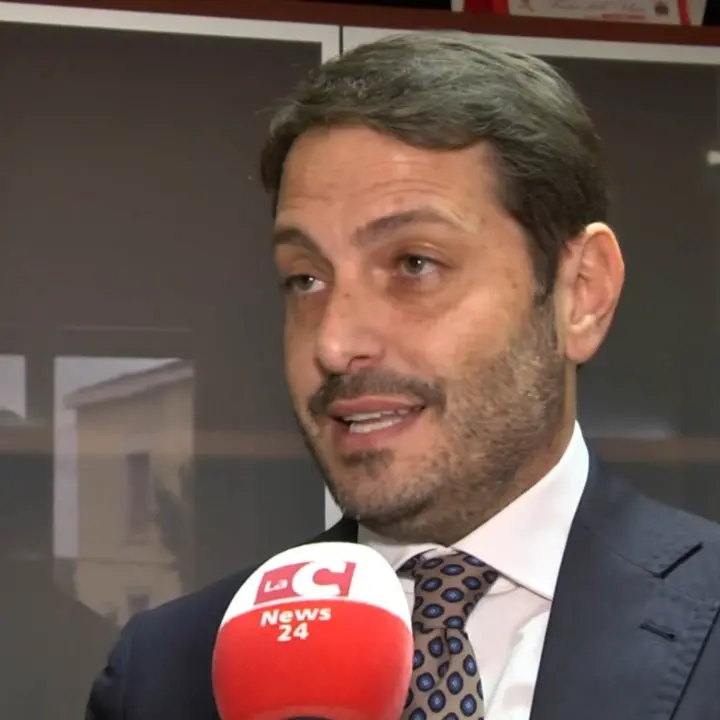 Zes unica, l’assessore catanzarese Borelli: «Tante e fondate ragioni per guardarla con preoccupazione»