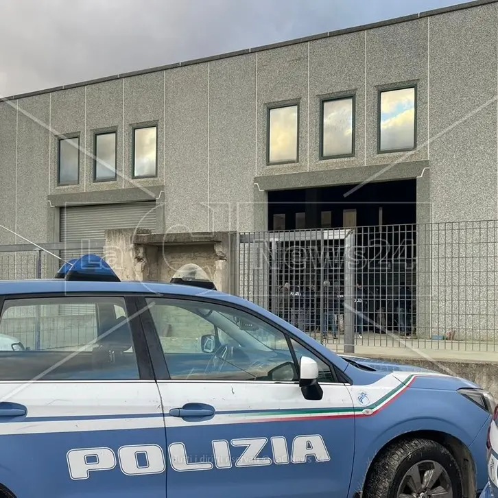 Tremila piante di marijuana coltivate a due passi dal tribunale di Castrovillari: i nomi dei 5 cinesi indagati