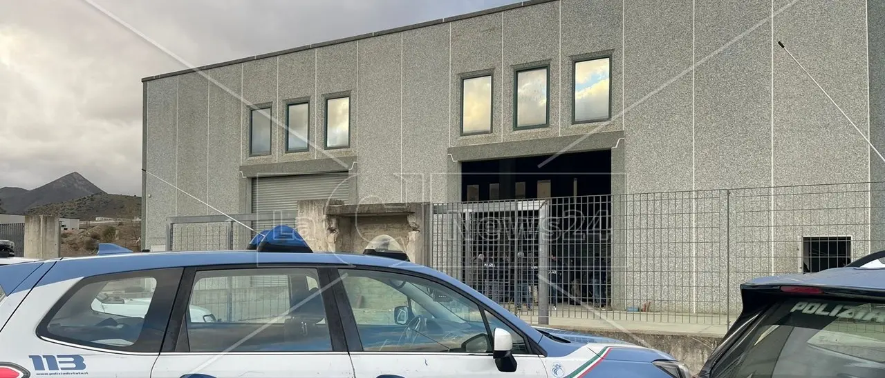 Tremila piante di marijuana coltivate a due passi dal tribunale di Castrovillari: i nomi dei 5 cinesi indagati