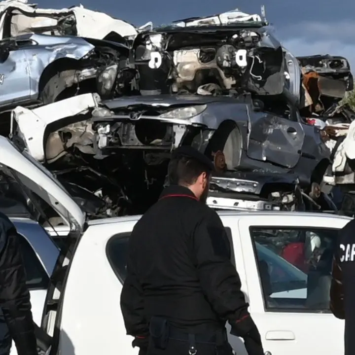 Reggio Calabria, scoperta un’officina abusiva in un terreno con capi di bestiame non tracciato: denunciato 54enne
