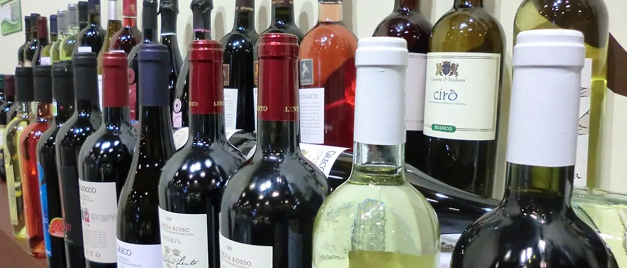 In dodici anni raddoppiato l’export dei vini italiani fermi Dop: Usa, Germania e Regno Unito i principali mercati