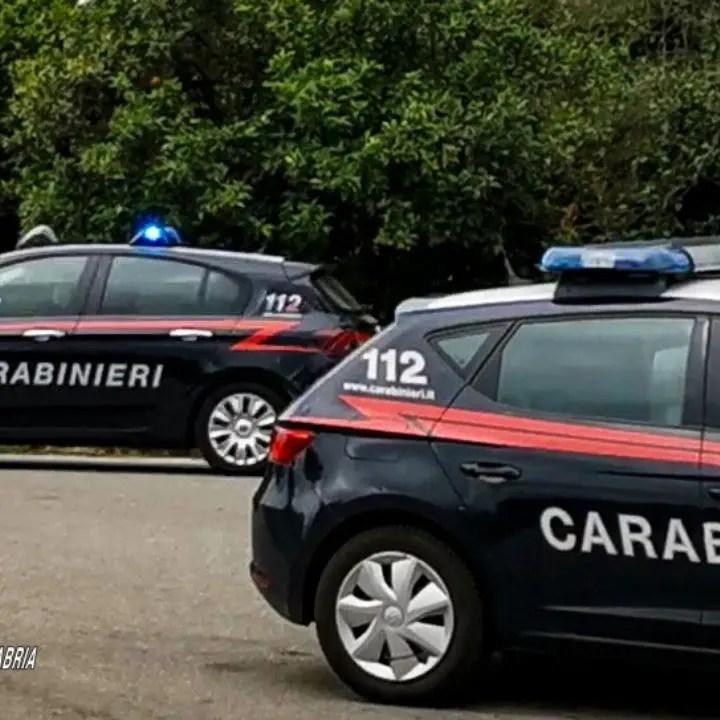 Allacci abusivi alla rete pubblica, sei denunce per furto di energia elettrica nel Reggino