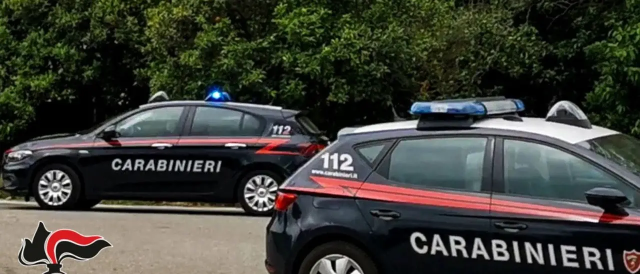 Allacci abusivi alla rete pubblica, sei denunce per furto di energia elettrica nel Reggino