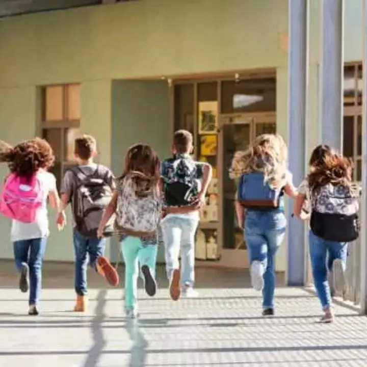 In Calabria non si fanno i controlli antisismici sulle scuole ma il governo sposta miliardi sul Ponte sullo Stretto