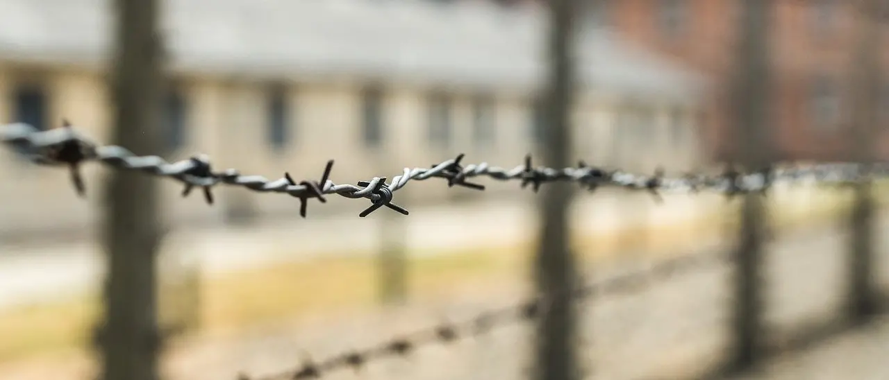 La Giornata della memoria in Calabria, da Cosenza a Reggio le iniziative per non dimenticare l’orrore della Shoah