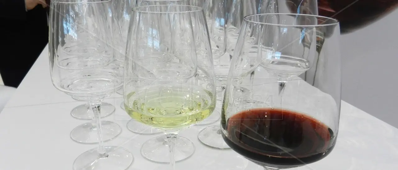 Vendite al dettaglio di vini, cambiano i gusti dei consumatori: i bianchi hanno quasi raggiunto i rossi. Quelli da tavola richiesti come i Dop