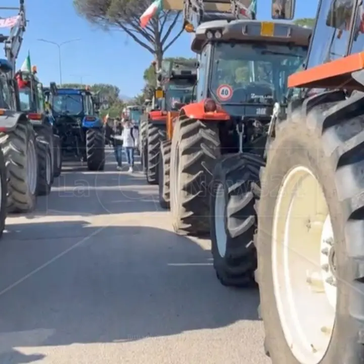 «La nostra fine sarà la vostra fame», la protesta degli agricoltori calabresi si sposta sulla statale Jonio Tirreno