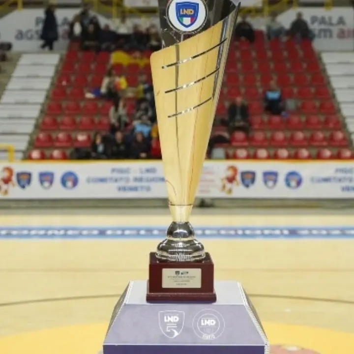Calcio a 5, definiti i gironi del Torneo delle Regioni in programma in Calabria: ecco la composizione