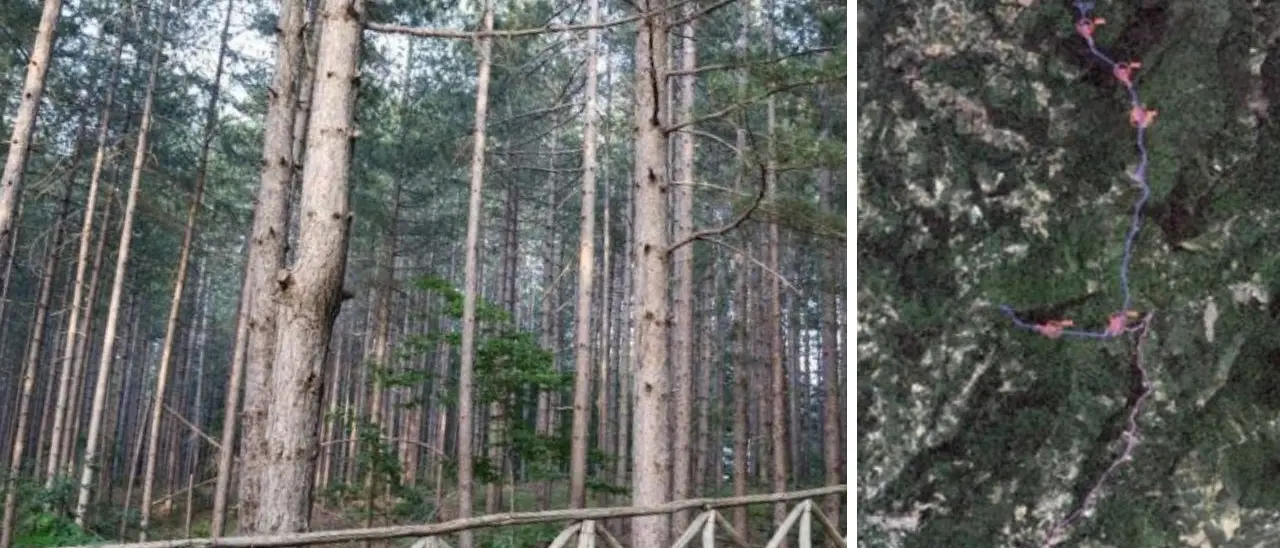 Acri, il parco eolico di Serra Crista non si farà: la Conferenza dei servizi mette la parola fine al progetto