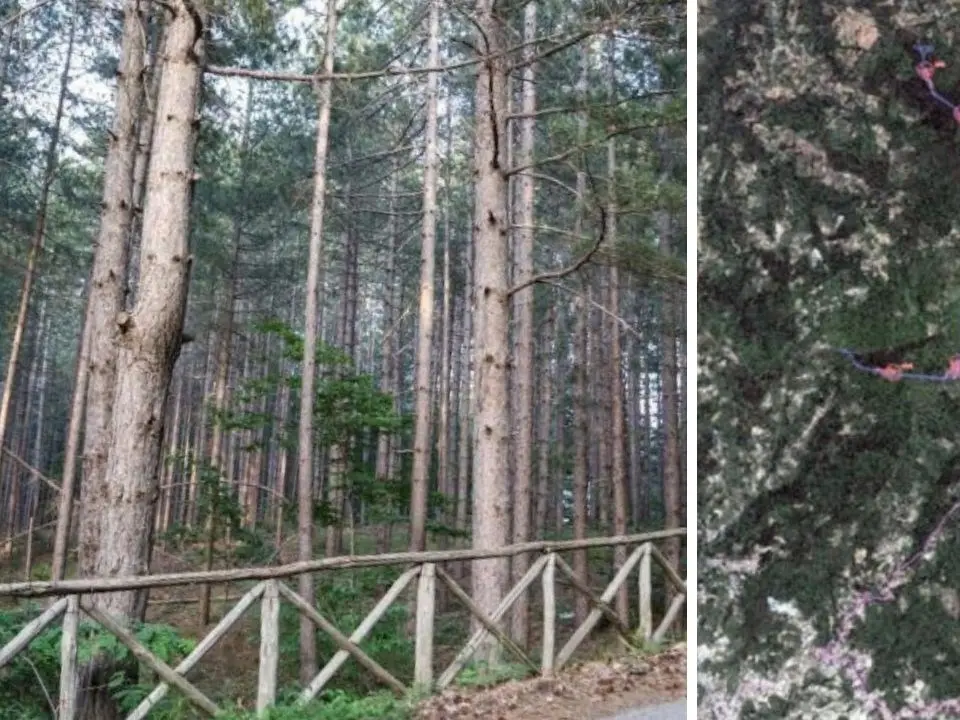 Acri, il parco eolico di Serra Crista non si farà: la Conferenza dei servizi mette la parola fine al progetto
