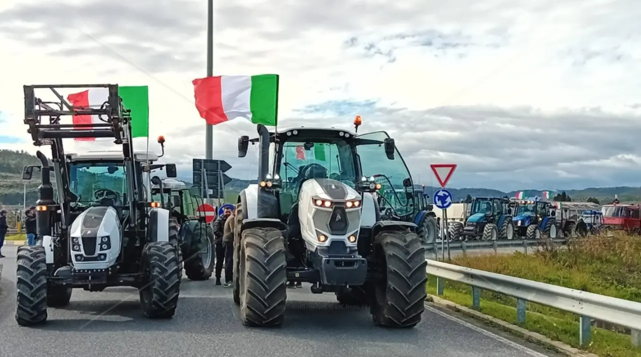 La Lega non può salire sui trattori calabresi ma al Nord cerca di cavalcare la protesta per superare Meloni a destra