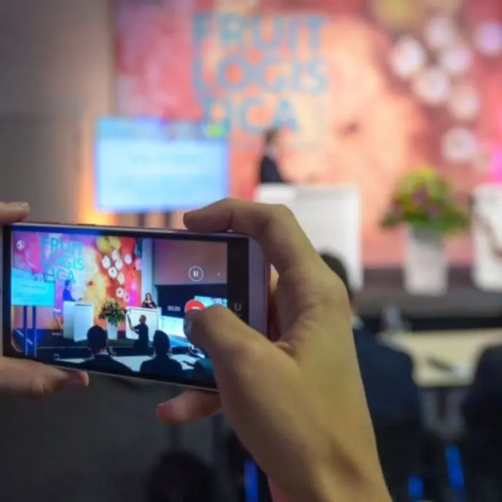 Dalla cipolla di Tropea alla patata della Sila, il made in Calabria pronto a sbarcare a Berlino con Fruit Logistica