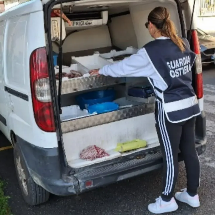 Prodotto non tracciato e pesca irregolare, sanzioni e sequestri nel Catanzarese