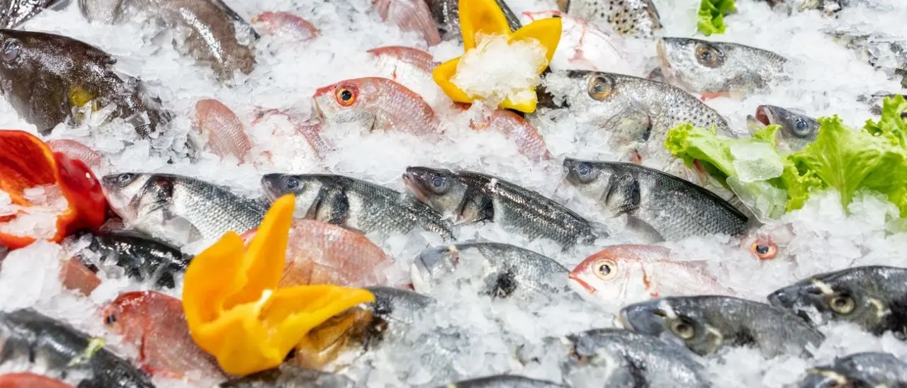 Sostenibilità e valorizzazione della pesca locale: accordo tra Marpesca Group e Coop Master Alleanza 3.0