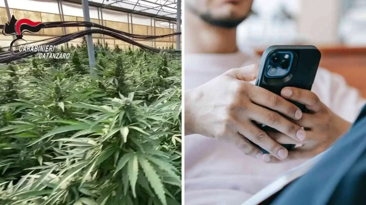 «Ci siamo solo noi e la pampina», le indagini partite dal gruppo WhatsApp “I cannabinoidi” usato per la gestione dello spaccio