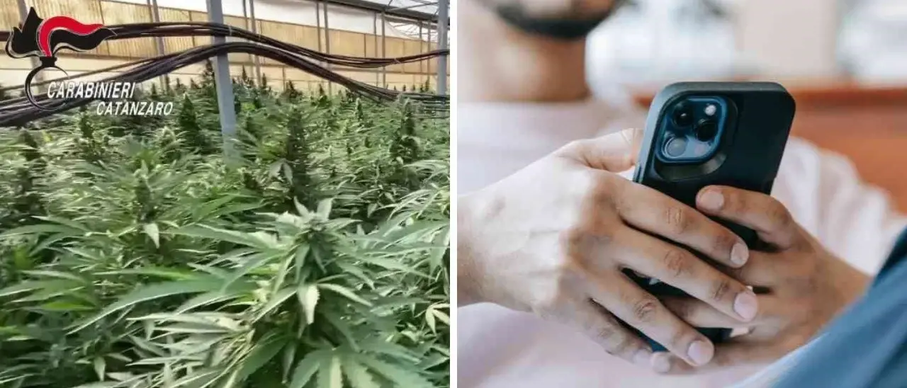 «Ci siamo solo noi e la pampina», le indagini partite dal gruppo WhatsApp “I cannabinoidi” usato per la gestione dello spaccio